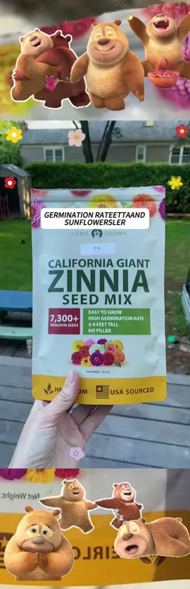 Transform your garden with 7,300 heirloom zinnia seeds! Perfect for fillingyour space with bold color, nonstop blooms, and pollinator-friendly beautyall season long. Whether you're a beginner or a pro, zinnias are one of theeasiest and most rewarding flowers to grow. #zinniaseeds #heirloomseeds#fowergarden #pollinatorplants #cutflowergarden #butterfygarden#gardeningtok #summerblooms #growzinnias #gardenerapproved#easytogrow #easygardening #fowerseeds #zinnias #pollinatorgarden#plantnative#TikTokShop #fyp