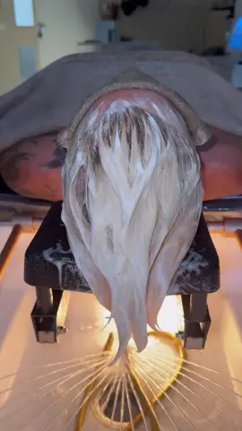 #911 #911calls #911dispatcher #fyp #trending 