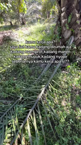 haha🤣#fyp 