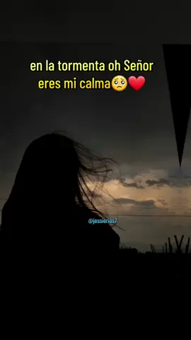 #tenecesitoseñor #mialmaestasedienta #tueresmanantial #deaguafresca #joncarlo