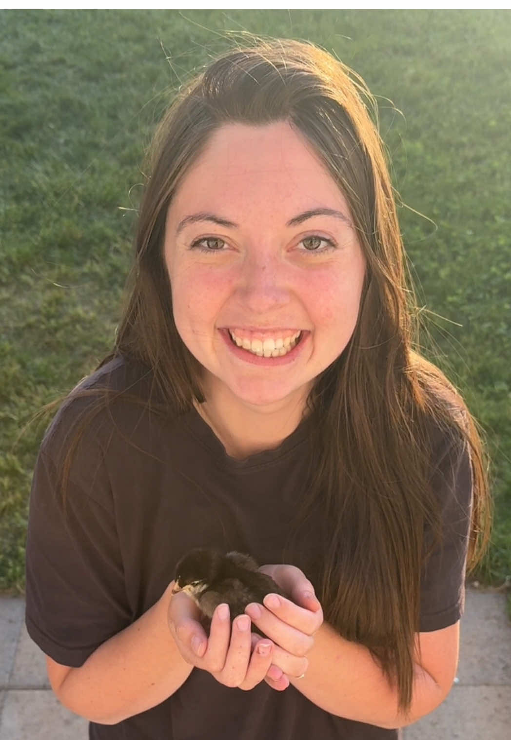 Forget a guard dog… you could have a guard chicken!!!  Have you heard of this breed? You can get them from Feather Lover Farms!  #homestead #farm #chickens #fyp #backtotheland 