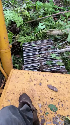 land clearing 🌳 #excavator #komatsu #landclearing #fyp 
