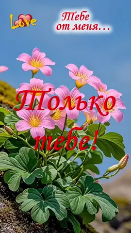 Доброе утро!