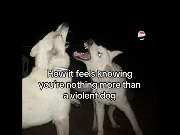 ⁾⁾  My guilt will not purify me. ⏔   #vent #rant #fyp 