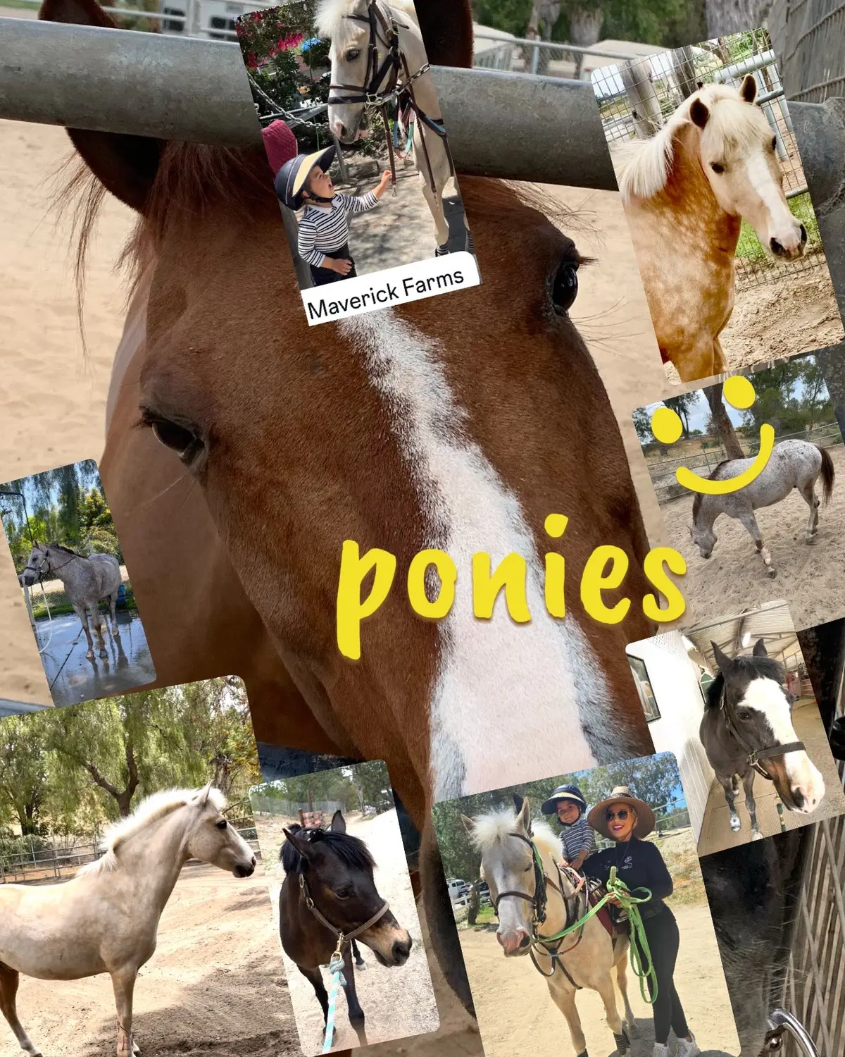 #maverickfarmsridingacademy 