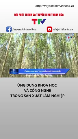 Với lợi thế rừng tự nhiên phong phú, rừng trồng ngày càng mở rộng, tỉnh Thanh Hóa đã và đang đẩy mạnh ứng dụng khoa học và công nghệ vào sản xuất lâm nghiệp nhằm nâng cao năng suất, giá trị rừng, bảo vệ tài nguyên và tạo ra các chuỗi giá trị kinh tế hiệu quả. #truyenhinhthanhhoa #ttv #tintuc #lamnghiep