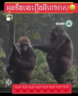 អូនខឹងបងរឿងអីពៅមាស😆#bongpheak 