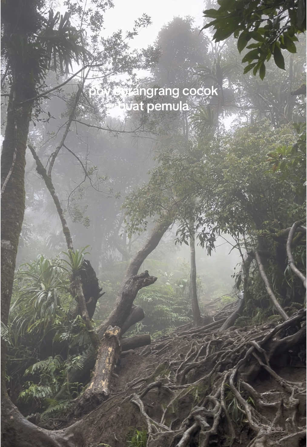 burangrang via legok haji buat pemula?🥵 #burangrang2050mdpl #tektok #fyppp #gunungburangrang #pendakigunung 
