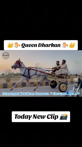 please TikTok Unfreeze My Account #unfreezemyacount #Horse #pakistan #Horses #horseracing #Tanga #trending #fyp #fouryou 