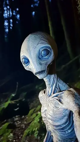 ☢️⚠️ALIENS ⚠️☢️ #fyp #ufoキャッチャー #ALIEN #aliens #ufologia👽