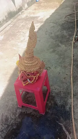 tắm rửa cho em nó sạch sẽ 🦜🍀#krutkhmer🦜🇰🇭 #fyp #83_soctrang #83_yM #xuhuongtiktok 