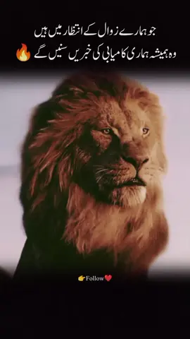 🔥☠️👑 #lion #attitude  #attitudestatus #attitudegirl  #status #statusvideo #attitudegirl😎 #🔥 #👑 #unfrezzmyaccount #tiktokplzunfreezemyaccout #foryoupage #trending #viralvideo #trend #fyp  ‎