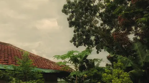 #fyp #motivasi #motivation #trend #fypシ゚viral #senja