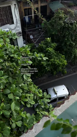 #camlanhgiuamuahe #story 