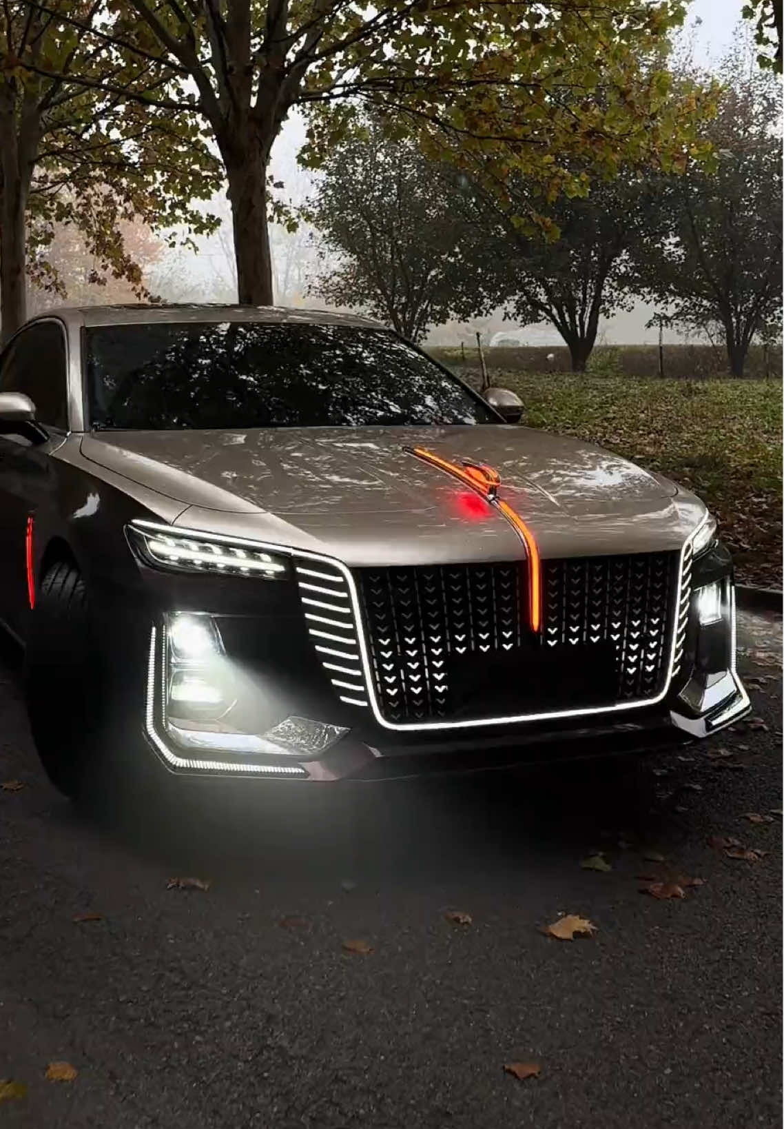 #hongqih5 #viral #fyp #douyin #xh #xuhuongtiktok #car 