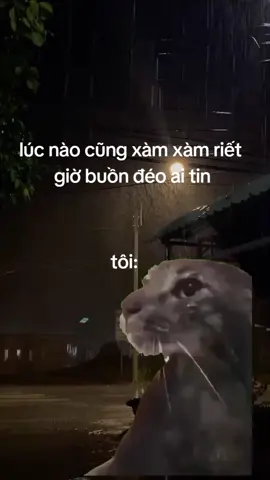 #buoncuatoi cocailong😕