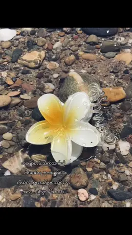 ဟူးးးးး#viral #viral #crd #view 