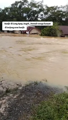 Rumah warga hanyut di terjang arus banjir di kampung long ayap, selasa (27/05/25). #infostumat #berau #beraukaltim #longayap #virall #segah #banjir 