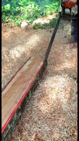 #DIYLumber #ChainsawMilling #lumberjack #Sawmill #RuralLife #Woodcutting #stihlms070 #Treecut #wood 