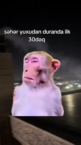 #CapCut 😂😂
