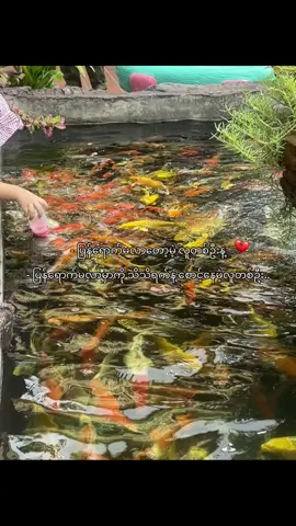 ခုထိရောက်မလာတေဘူး..💔 #fyppppppppppppppppppppppp 