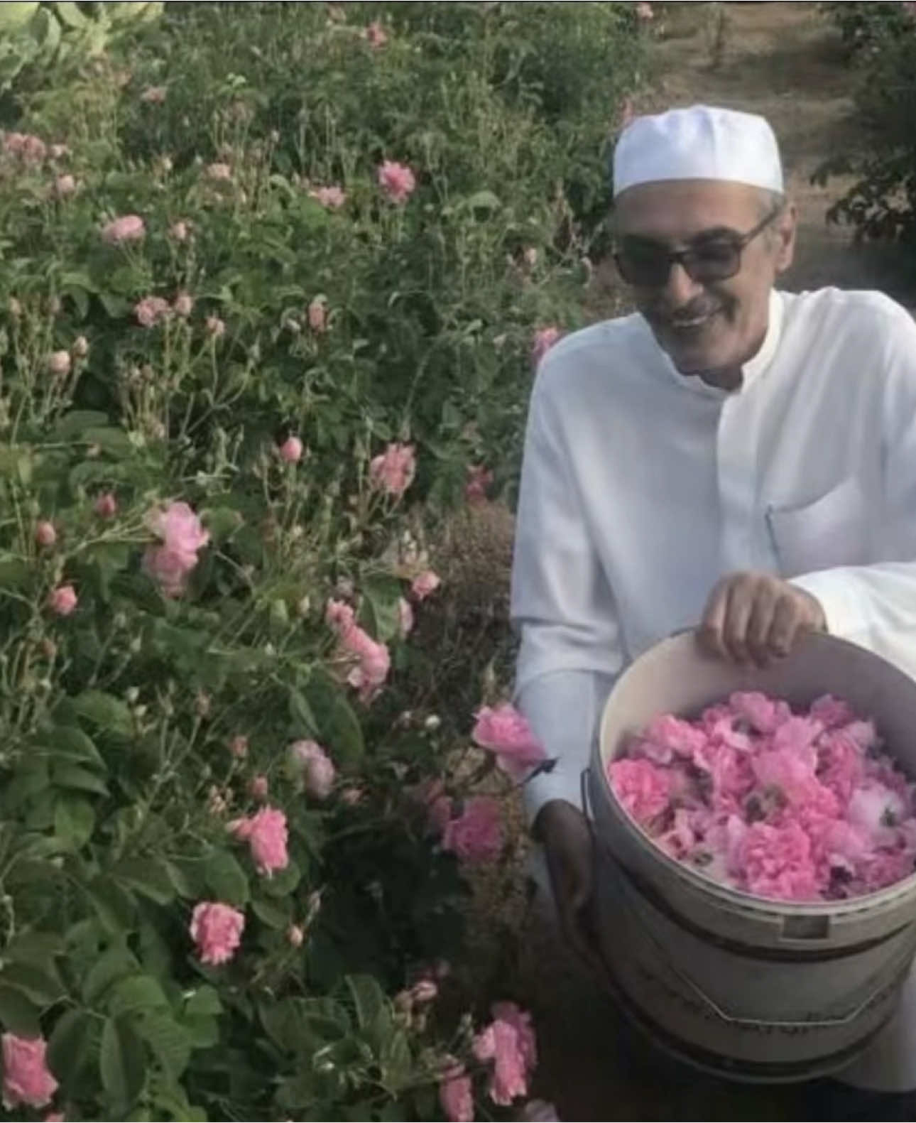 اجمل قصائد البدر #explore #بدر_بن_عبدالمحسن #البدر 