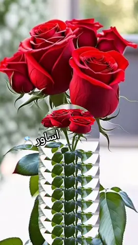 مساء الخير#مساء_الخير #مساء_الحب_والسعاده #متابعه_ولايك_واكسبلور_احبكم #شعراء_وذواقين_الشعر_الشعبي #fyp #trending #مجرد_ذووقツ🖤🎼 #عباراتكم_الفخمه📿📌 #احبكم_يا_احلى_متابعين #تصميمي #متابعه #اساور #تصاميم_فيديوهات🎵🎤🎬 #مجرد________ذووووووق🎶🎵💞 #اكسبلور #اكسبلورexplore #اكسبلورexplore #تصاميم #جيل_الطيبين 