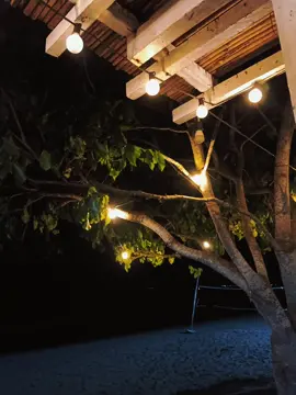 every little thing is gonna be alright 🙂‍↕️