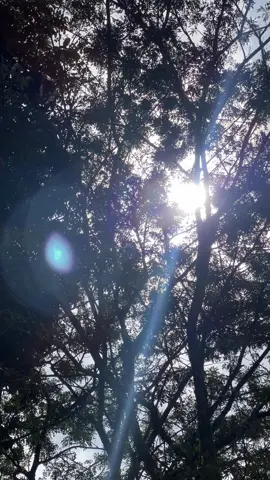 #fyp #beauty #foryou #fypシ゚ @𝓓𝓮𝓿𝓪𝓷𝓪.𝓳𝓿𝓷𝓽𝓻__ @harry gus indra @Yudis136🔞PART2 @Thio_🅰️nggara254 @𝕱𝖗𝖊𝖓𝖌𝖐𝖎𝕯𝖆𝖗𝖎𝖆𝖓𝖙𝖔 @A L O D I E @Blarak gacor🚀 @simonpalala 