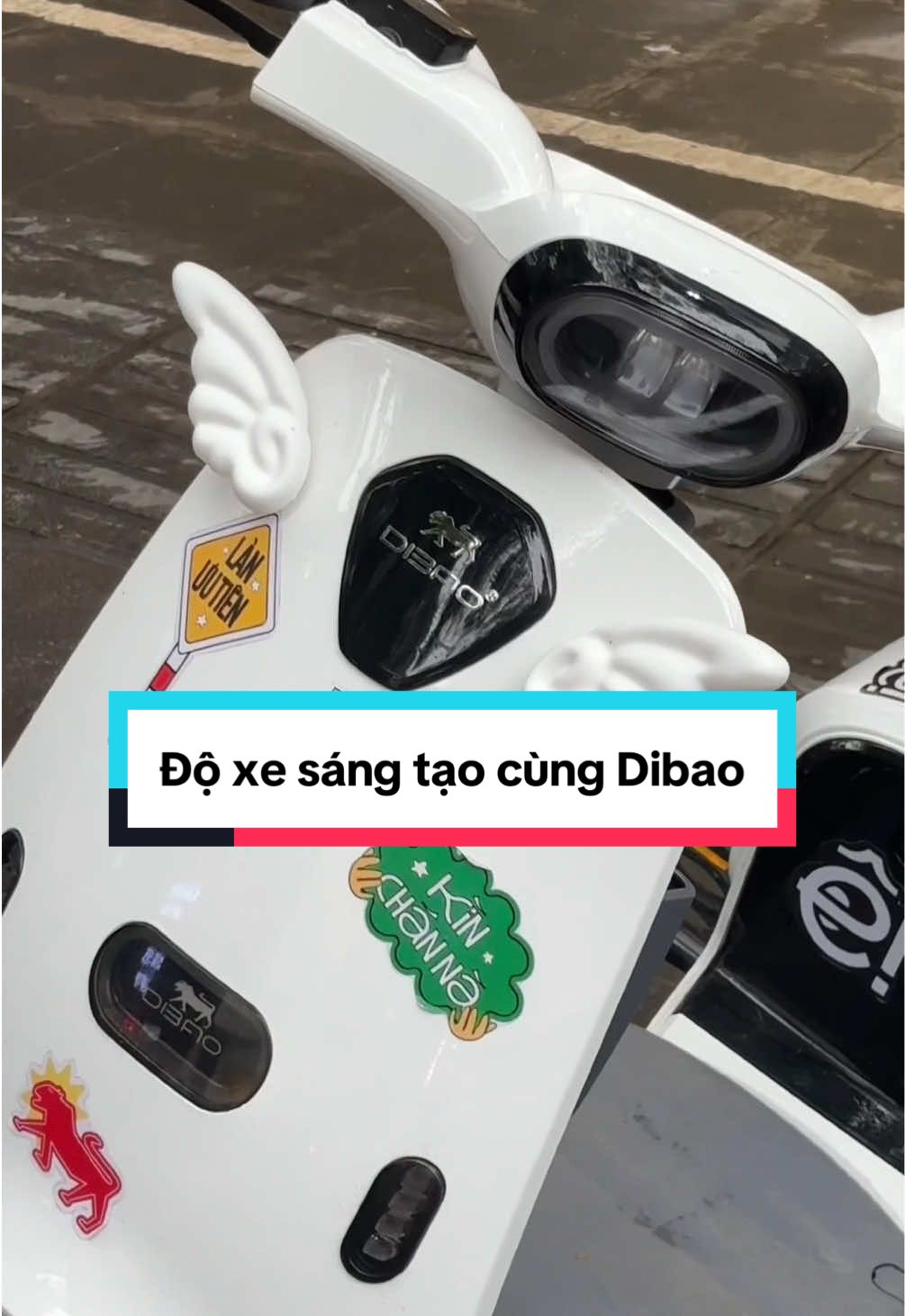 Ông bà độ dữ lắm mới hên được cỡ này 🤧 #xediendibao #dibaovietnam @DIBAO Việt Nam 
