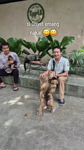 tetap harus sabr sama si Onyet 🐒#animal #pets #petslover #animallover #monkey #beruk #monyet #minizoo # 