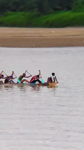 Detik-detik anak coki terjatuh dari perahu. Tenang mereka adalah perenang handal 💯🔥  #pacujalur #longboat #pacujalurviral #pacujalurmendunia #pacujalurkuantansingingi #pacujalurriau #pacujalur2025