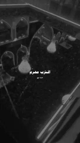 اقترب محرَم💔١٤٤٧هـ #اكسبلور#شيعة#الامام_علي#حيدر_الكرار#الامام_الحسين#كربلاء#مشاية#شيعة_علي#علوية#علوي#لبنان#عاشوراء#عاشوراء_الحسين #السيدة_زينب #الشام#جنوب_لبنان#لطميات#تصميم#لطمية_حسينية#حسيني#حسين#ابا_الفضل#العباس#قصائد_حسينية#قصائد#فيديوهات_شيعية#تصميم_شيعي#شيعة_امير_المؤمنين #العراق     ر 