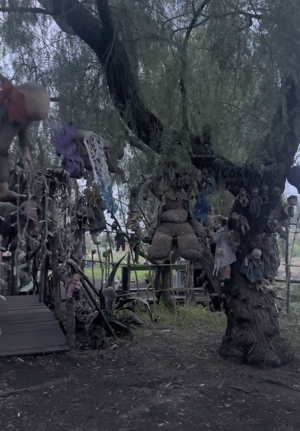 Island of the Dead Dolls in Xochimilco, Mexico City. What an experience 😱 #isladelasmuñecas #islandofdeaddolls #mexicocity #mexico #scary #travel #crazy 