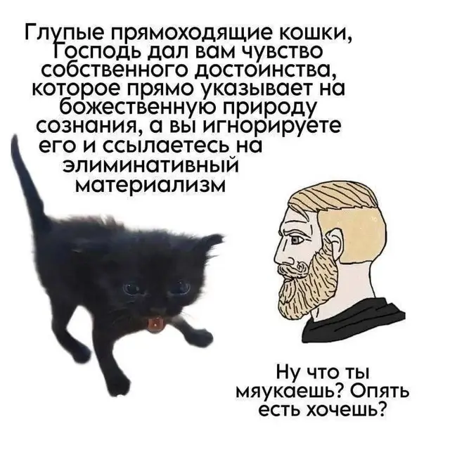 #тонкаяматерия #15 