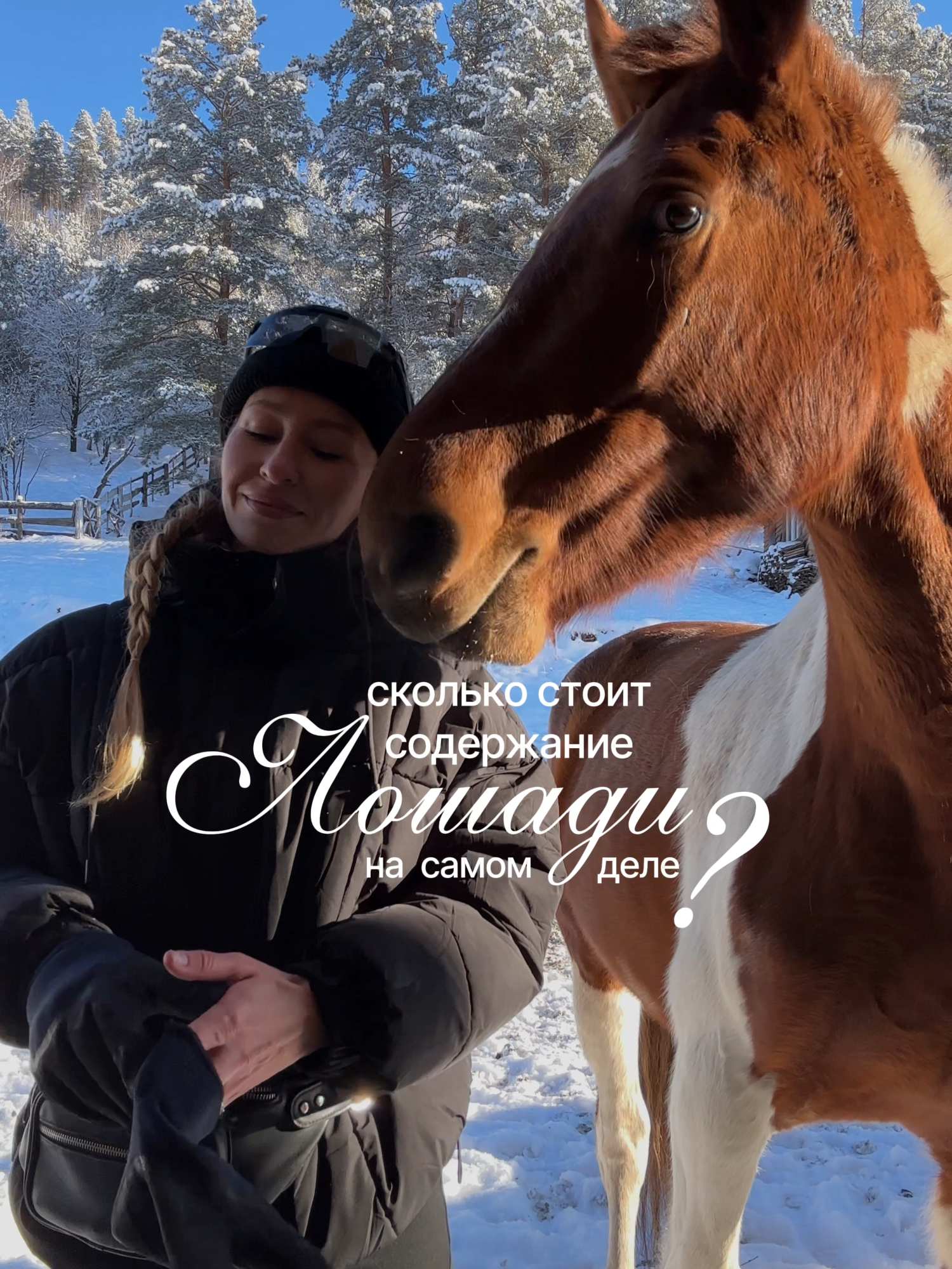 Сколько стоит содержание лошади? #лошадь #алтай #конь #любовь