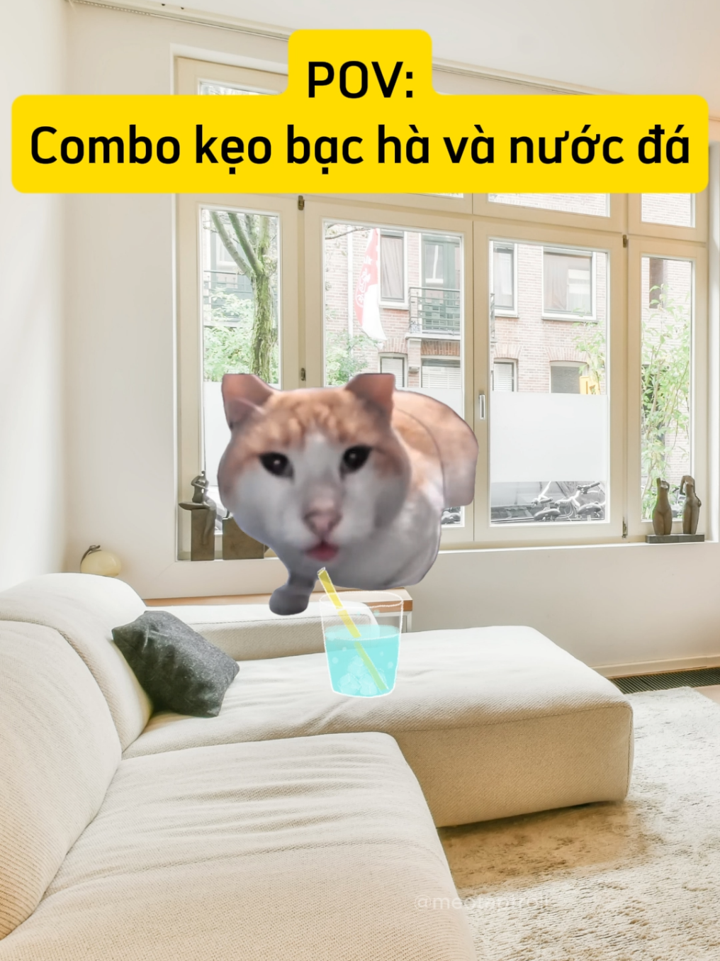 Combo kẹo bạc hà và nước đá #meotaptroll #haihuoc #memecat 