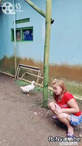 video lucu terbaru #ngakak #hiburantiktok #lucu #funny #komeditiktok 