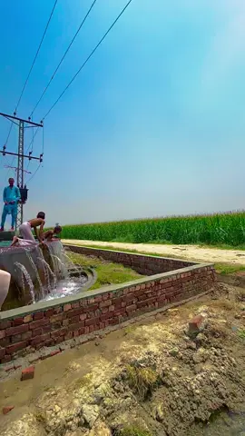 #میرا_سہنا_پنڈ_لاکھو_کالم_ضلع_قصور♥️🍁🌴🌱😇🥰 #dontunderviewsmyvideos #fypシ゚viral #foryou #foryoupage #viral #unfreezmyaccount 