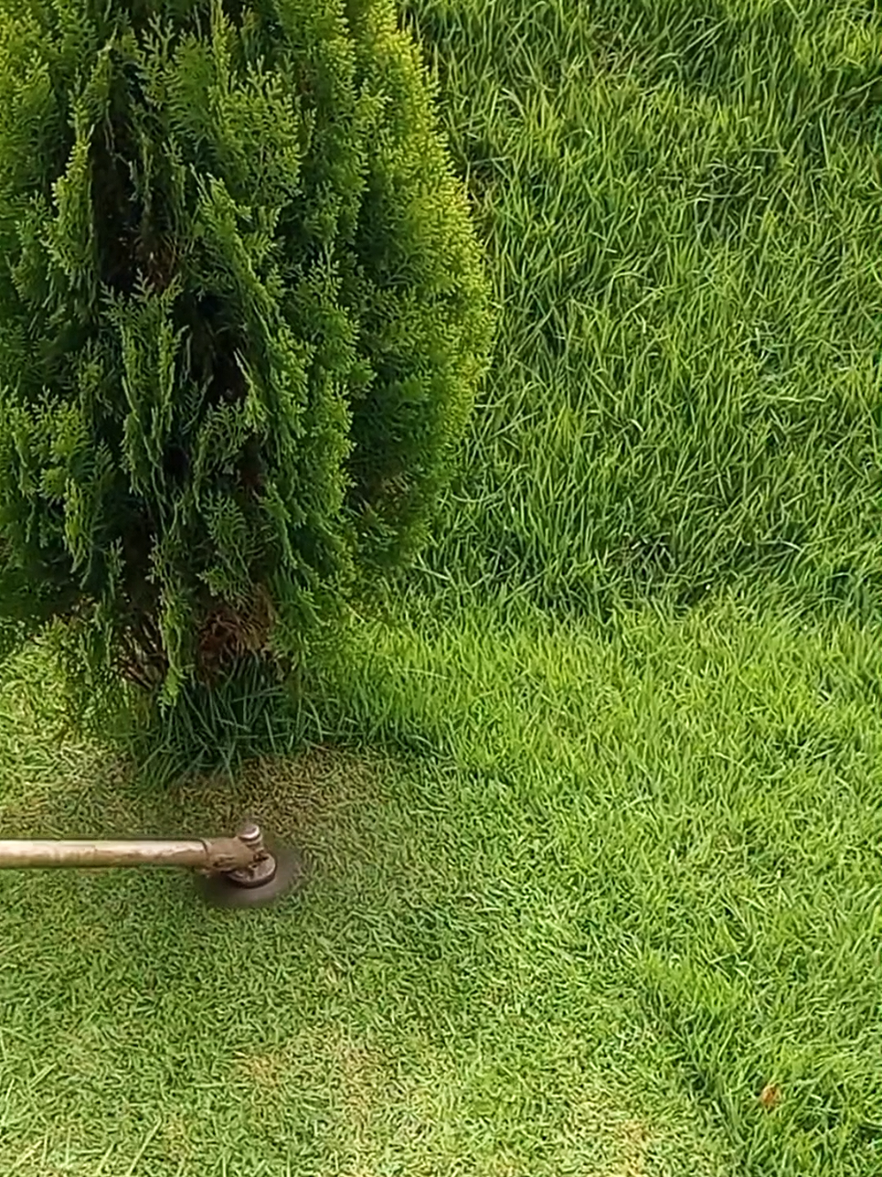 Oddly Satisfying Sensations | Mowing The Lawn Compilation ASMR | #Perfect cutt! 🍀💚 #lawntok #grasstok #gardentok #landscapersoftiktok #asmr #oddlysatisfying #Satisfying #mowing #lawn #garden #clean #CleanTok #landscape #gardening #lawncare #mowingthelawn #lawnmower #brushcutter #lawntiktok #lawnsoftiktok #lawnmowing #lawns #grasstiktok #cuttinggrass #satisfaction #spring #goviral #original #viral #viralvideos #viralvideo #viral_video #tiktok #tiktokviral #viraltiktok #viralvideotiktok #fyp #foryou #foryoupage #fypシ゚ #fypp #fyppppppppppppppppppppppp #parati #fürdich #pourtoi #paratii #paratiiiiiiiiiiiiiiiiiiiiiiiiiiiiiii #capcut #duet #loop #trend #trending #funny #checkthisout #lookatthis #creatorsearchinsights 