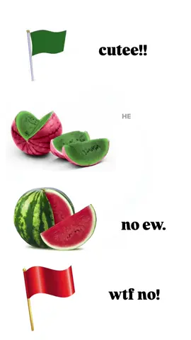 my type     #pookie #redflag #greenflag 