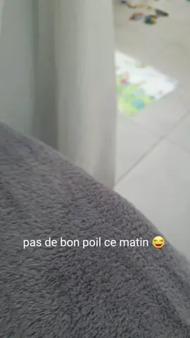 #drole #chat #humour #chaton #mainecooncat #mainecoonkitten #teamcatslife #animalsoftiktok #animal #story #chats #cat 