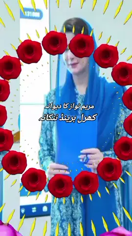 اپنے قائد کی بیٹی سے ملاقات کی بڑی آرزو ہے بس 