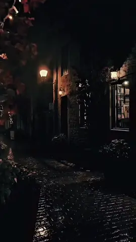 يا حبيب من لا حبيب له سأتي لك فرداً بجرح السنين بثقل الذنوب وعمق الحنين🤍🤲🏻🤍#fypforyoupage 