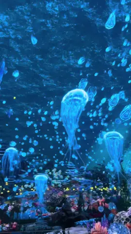 Aquarium date 📍Jatim Park 2 Batu, Malang