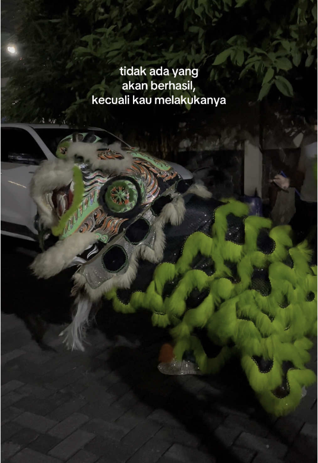 #fypシ #fyp #fypシ゚viral #barongsai #barongsaitiktok #barongsaiindonesia #foryoupage #liondance #liondancer 