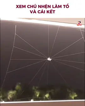 Sao mà đều hay vậy ta? #luonlo #tiktok #xuhuong #fyp