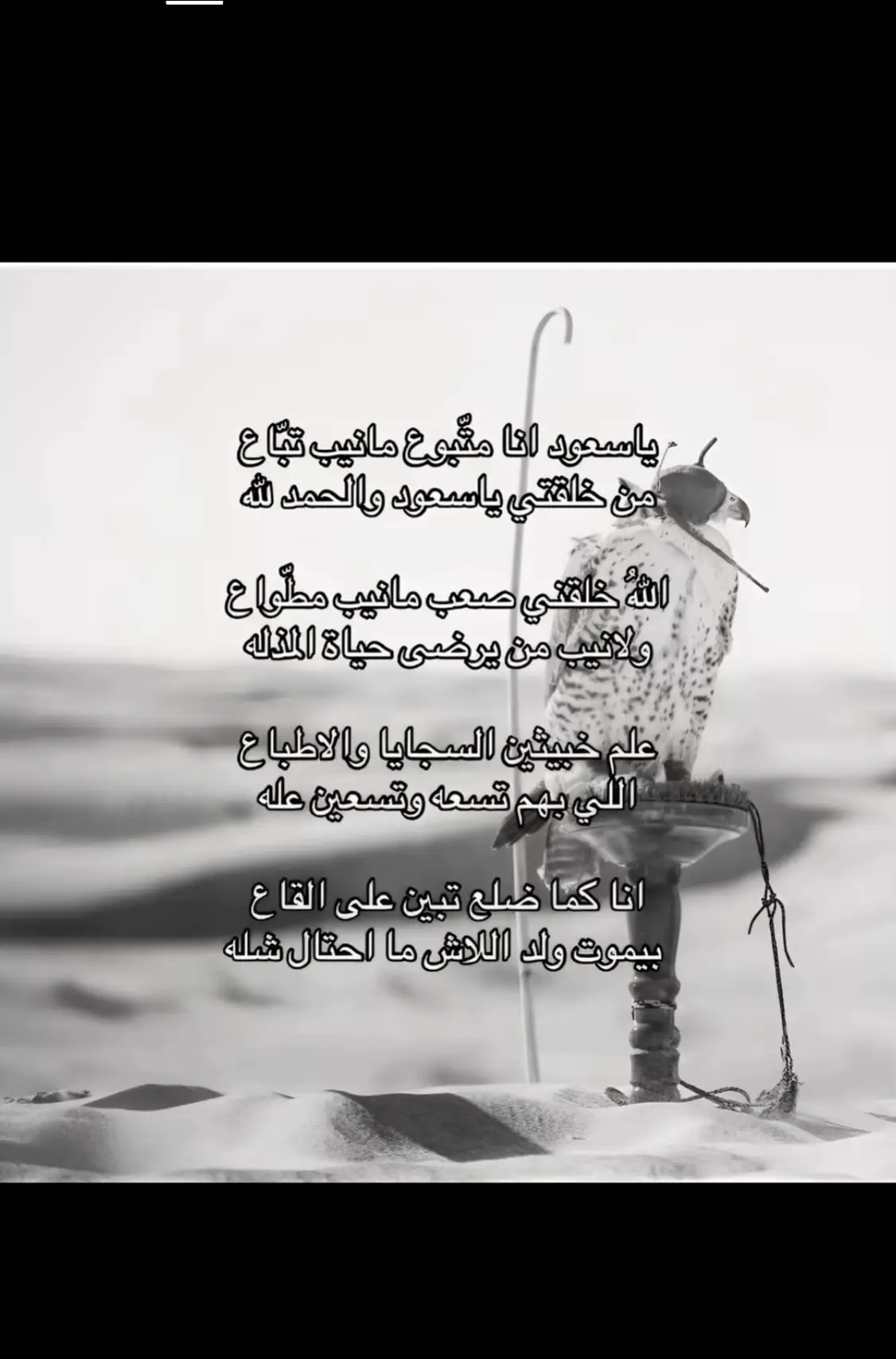 #4u #اكسبلورexplore #503 #fyp 