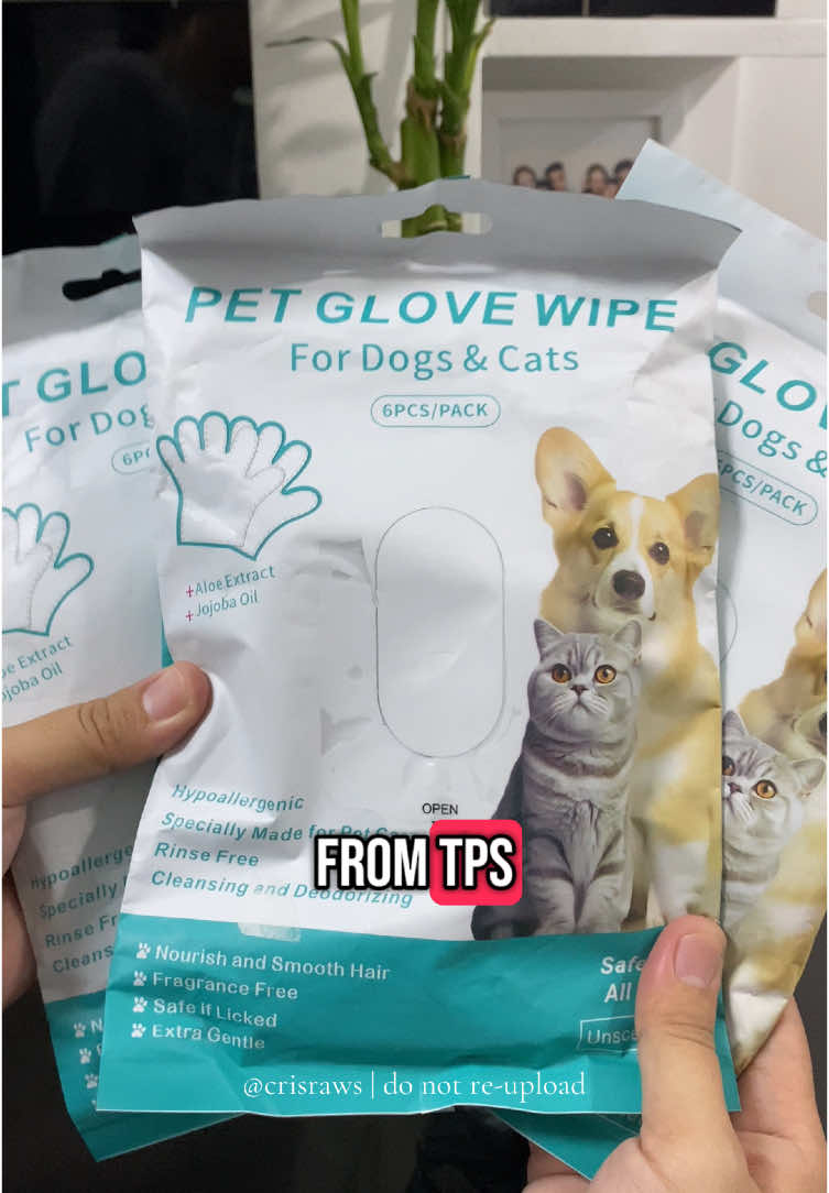 Hindi kami nauubusan ng Pet Glove Wipes sa bahay for Kiwi! Palaging mabango at malinis kahit walang ligo ❤️ #petglovewipes #petwipes #petessentials #dogsoftiktok #pethygiene #doghygiene #dogwipes #budolfinds #tiktokfinds 