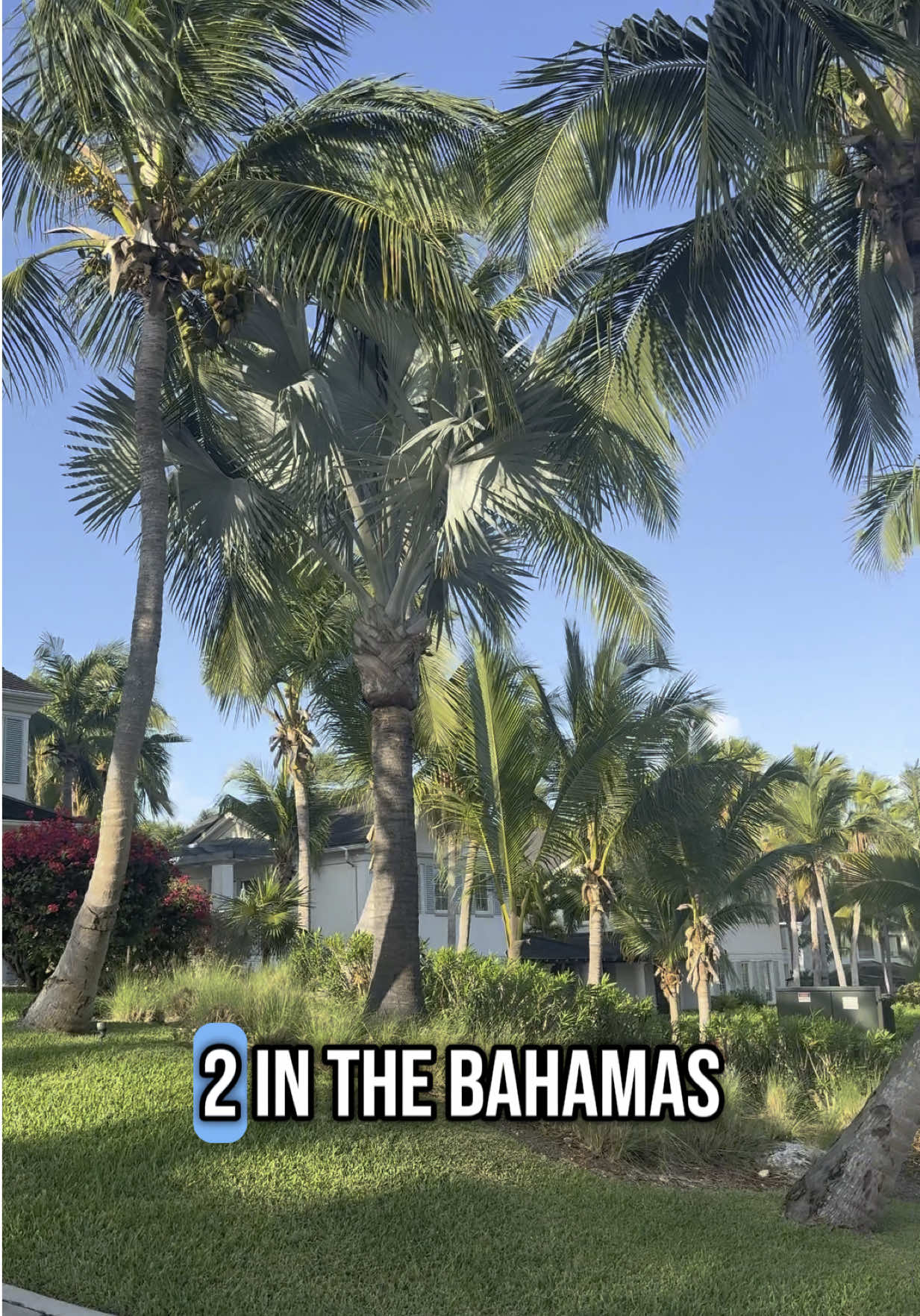Day 2 in the Bahamas ✈️🇧🇸✨